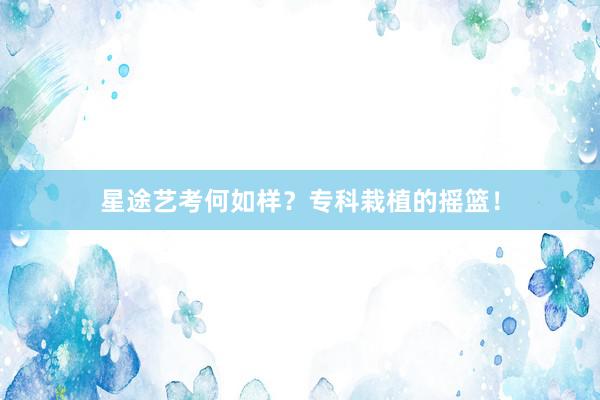 星途艺考何如样？专科栽植的摇篮！